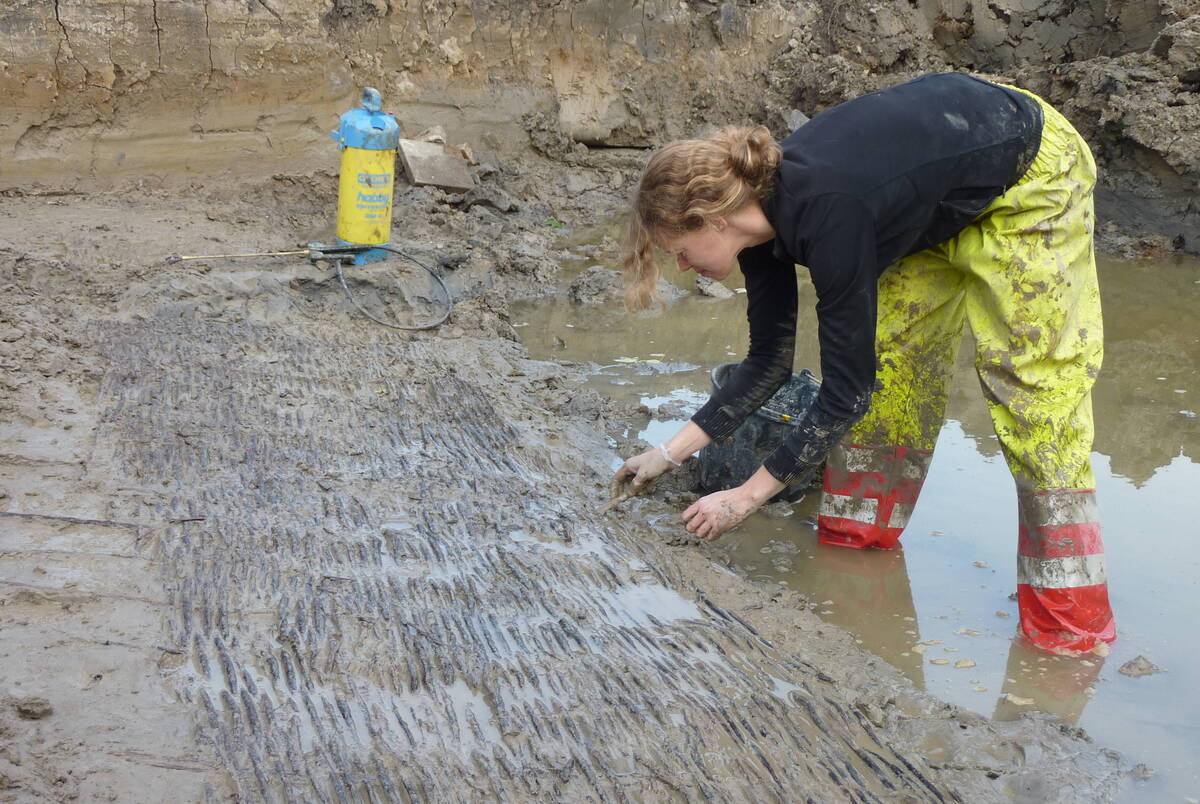 Klik om foto te vergroten.