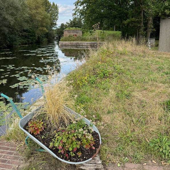 Natuur op fort Lunet 4